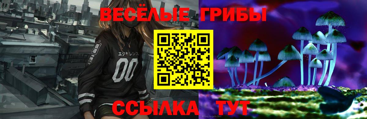 Кохма  наркотики  Вход с VPN  Галлюциногенные грибы Psilocybine cubensis 